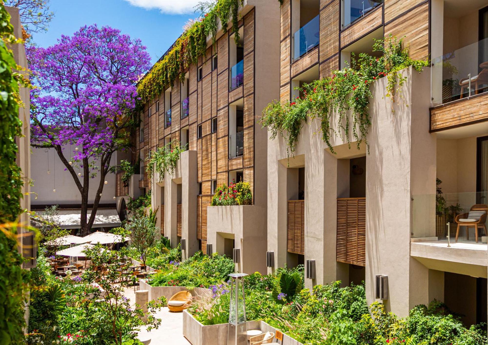 Numu Boutique Hotel, The Unbound Collection By Hyatt San Miguel de Allende Bagian luar foto