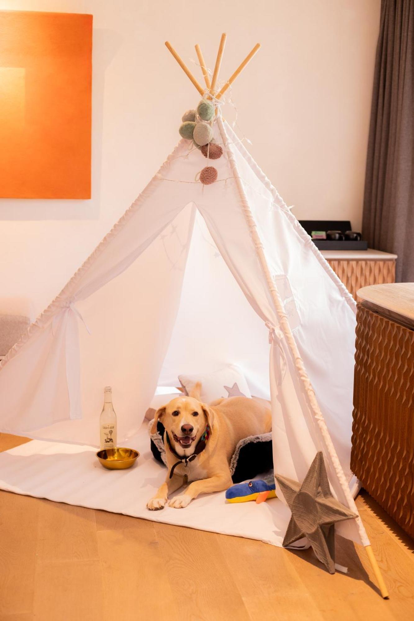 Numu Boutique Hotel, The Unbound Collection By Hyatt San Miguel de Allende Bagian luar foto